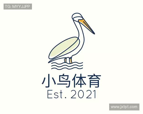 关于小鸟体育